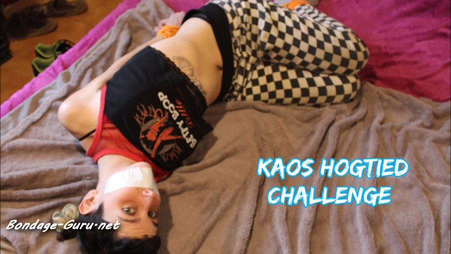 Kaoss Hogtied Challenge
