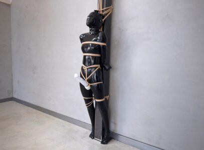 Reflective Desire- Hitachi Torment