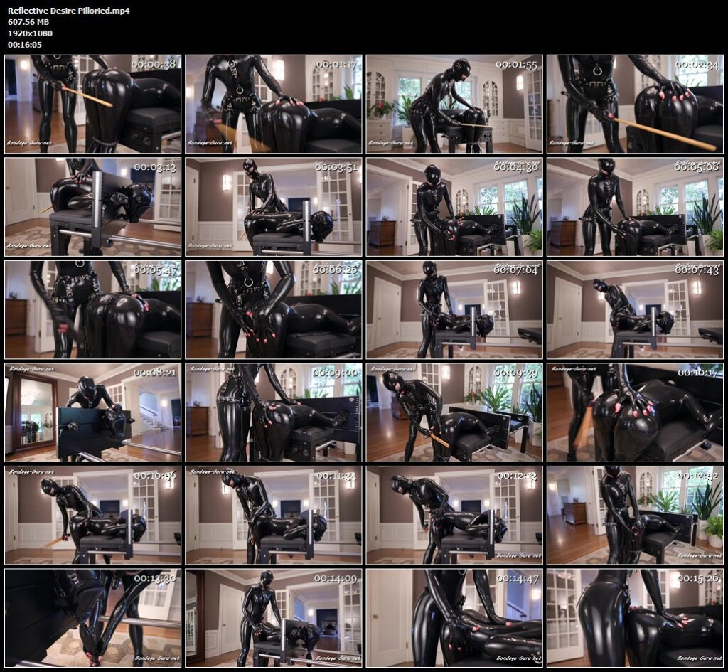Reflective Desire Pilloried.mp4