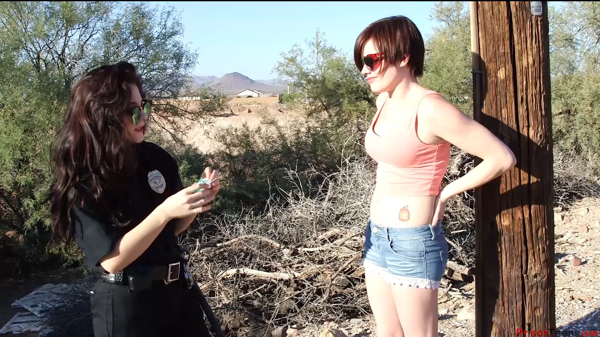 Violet Pixie is found trespassing She is searched and arrested by Officer Persephone