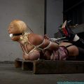 Summer Monroe Transported and Hogtied_Part 2