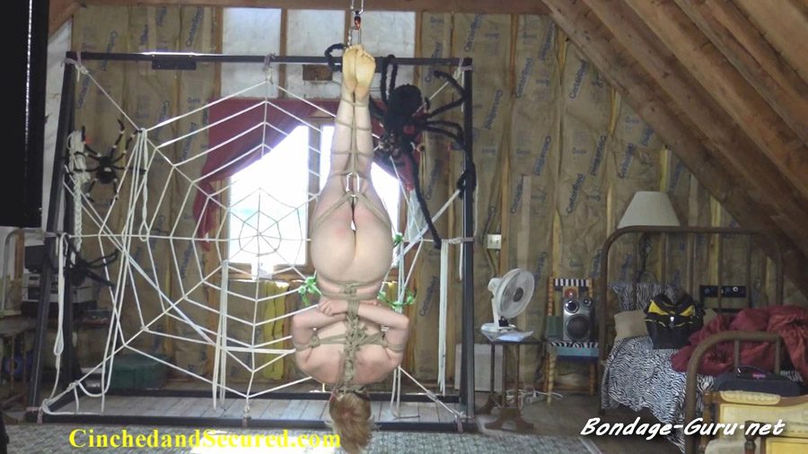 Into The Attic Bdsm